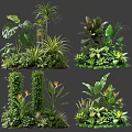 Plant Combinations With Tropical Plants Ferns And Large Leaf Varieties For Decorative Greenery Arrangements