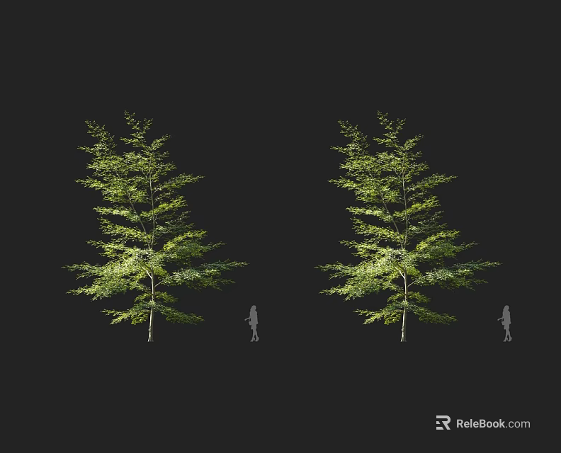 Two Green Foliage Arbors With Human Silhouette For Scale Against Black Background 3d model 