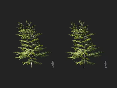 Two Green Foliage Arbors With Human Silhouette For Scale Against Black Background 3d model