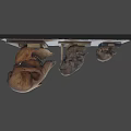 Three Ancient Skull Specimens of Various Sizes Displayed on Exhibition Platform