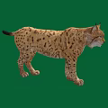 Majestic Lynx with Tufted Ears and Spotted Fur Walking on Green Background