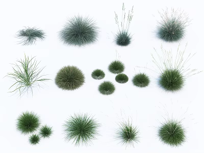 Various Types of Garden Shrubs with Different Sizes Shapes and Foliage for Landscaping 3d model