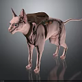 Pink Sphynx Cat Wearing Brown Backpack With Black Flashlight Accessory