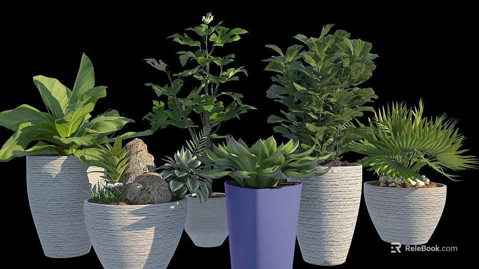 Various Types of Green Plants in Colorful Flower Pots with Decorative Stones 3d model 