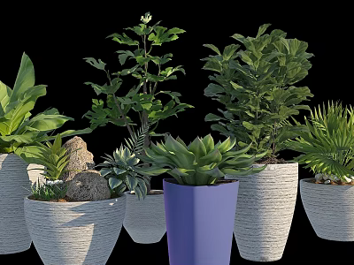 Various Types of Green Plants in Colorful Flower Pots with Decorative Stones 3d model