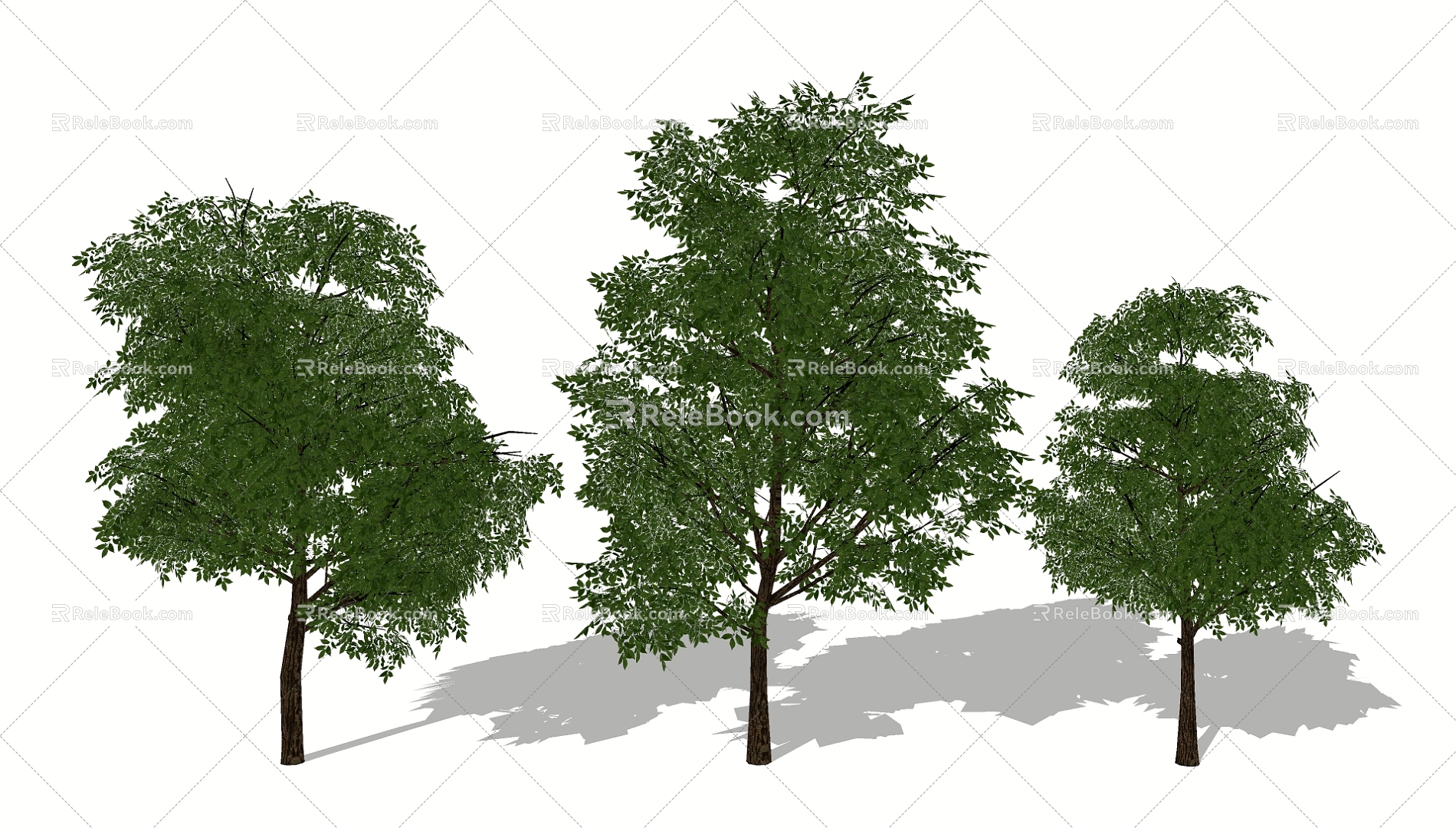 Tree 3d model