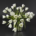 Fresh White Tulips in Elegant Clear Glass Vase for Home Interior Decor