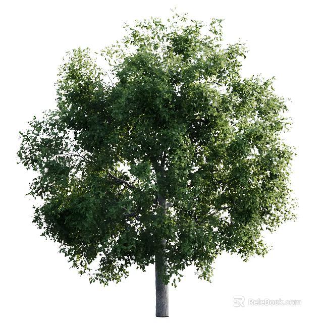 Lush Green Arbor With Dense Vibrant Foliage And Strong Straight Trunk 3d model 