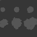 Six Different Arbor Trees With Lush Green Foliage And Varied Crown Shapes