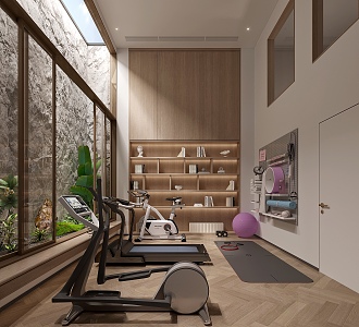 Modern Gym Villa Gym 3d model