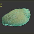 Detailed Yellow Plant Seed Shaped Sculpture With Carved Inscriptions And Numbers