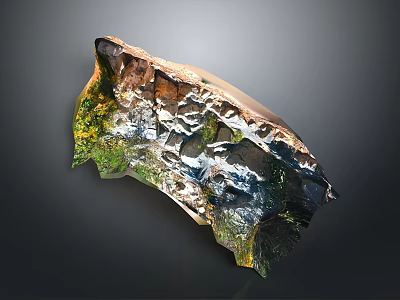 Wooden Stone Decorative Piece With Natural Colorful Texture And Unique Artistic Pattern 3d model