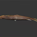 Brown Aquatic Fish With Slender Body And Yellow Mouth On Dark Background