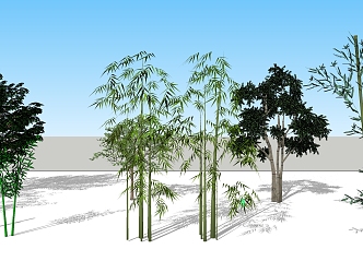 Modern tree bamboo 3d model