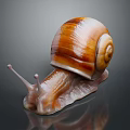Glossy brown snail with orange striped shell and smooth body on dark reflective background