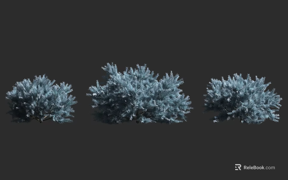Three Lush Blue Gray Decorative Shrubs For Garden Landscape Design 3d model 