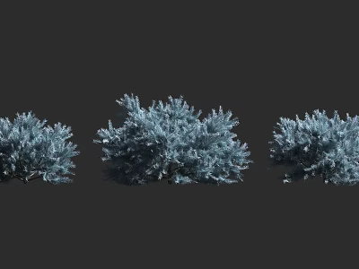 Three Lush Blue Gray Decorative Shrubs For Garden Landscape Design 3d model