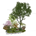 Diverse Plant Combination with Tall Tree Pink Flowering Shrub Low Greenery Stones and White Pebbles