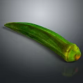 Fresh Green Okra Vegetable a Nutritious Ingredient for Healthy Cooking Dishes