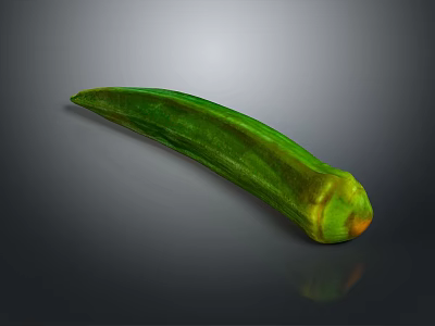 Fresh Green Okra Vegetable a Nutritious Ingredient for Healthy Cooking Dishes 3d model