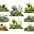 Colorful Garden Flowers And Plants With Various Species Shapes And Decorative Stones