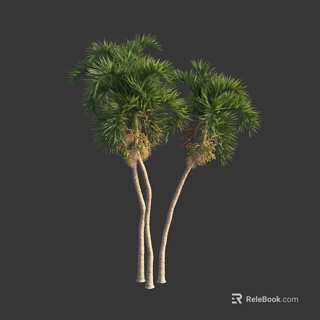 Tall Palm Trees With Slender Trunks And Lush Green Fronds On Dark Background 3d model 