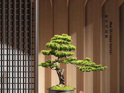 Modern Chinese Style Bonsai Plant Interior With Wooden Wall And Lush Foliage 3d model