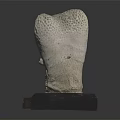 Gray White Porous Sculpture On Black Base With Wooden Edge Detail