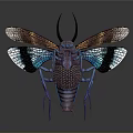 Vibrant Insect with Colorful Shiny Wings Horned Antennae and Net Like Body on Gray Background