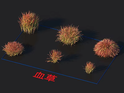 Red and Green Blood Grass Clumps with Natural Foliage on Dark Background 3d model