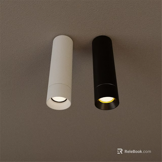 Two White And Black Modern Ceiling Mounted Downlights Illuminated Fixtures 3d model 