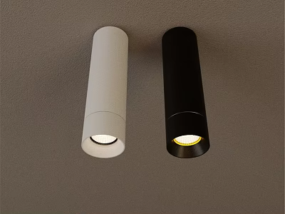 Two White And Black Modern Ceiling Mounted Downlights Illuminated Fixtures 3d model