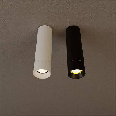 Two White And Black Modern Ceiling Mounted Downlights Illuminated Fixtures 3d model