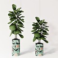 Modern potted plant flowerpot plant green plant ornaments tropical plant green leaf 3d model