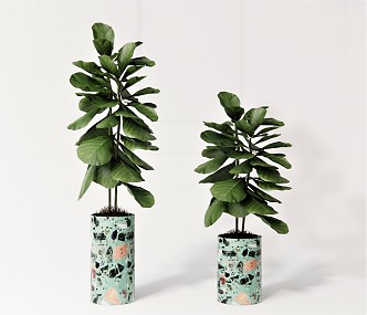 Modern potted plant flowerpot plant green plant ornaments tropical plant green leaf 3d model