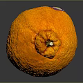 Ripe Orange Fruit With Textured Skin Stem End Knob On Dark Background And Shiny Reflection