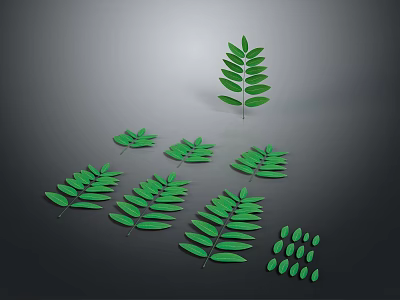 Green Leaves Collection With Various Sizes And Shapes On Dark Background 3d model