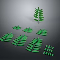 Green Leaves Collection With Various Sizes And Shapes On Dark Background