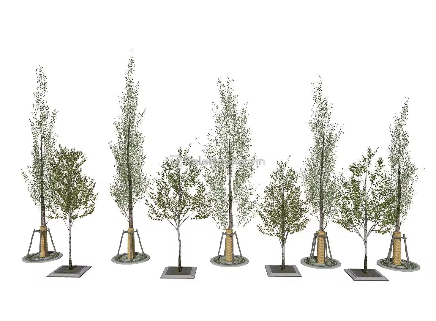Modern Tree Landscape Tree Greening Trees Poplar Trees 3d model