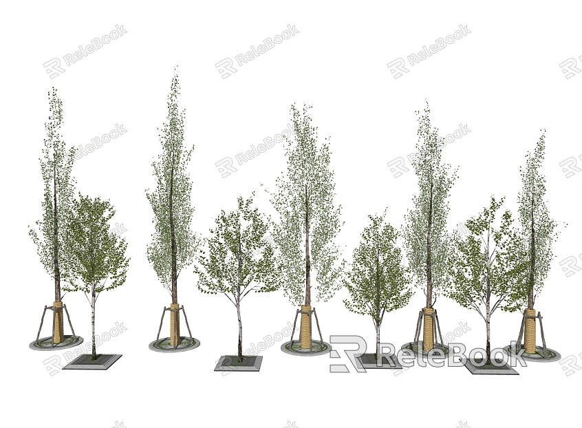 Modern Tree Landscape Tree Greening Trees Poplar Trees model