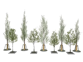 Modern Tree Landscape Tree Greening Trees Poplar Trees 3d model