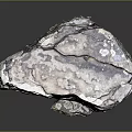 Natural Wood Stone Decorative Piece With Rough Natural Texture And Gray White Color Patterns