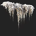 Elegant White Hanging Flowers and Cascading Vines with Natural Greenery Decor