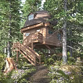Elevated Wooden Treehouse With Dome Roof Staircase Surrounded By Lush Forest Trees