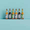 Six Beer Bottles With Various Labels On Light Blue Background 3d model