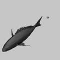 Fresh Whole Fish With Shiny Scales Tail And Clear Eyes For Cooking