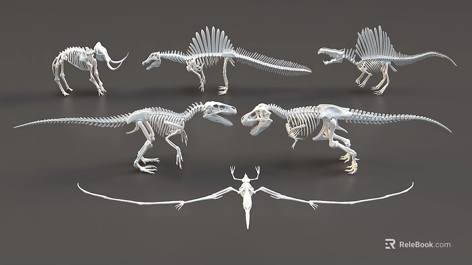 Detailed Dinosaur And Pterosaur Skeleton Models Display On Dark Background 3d model 
