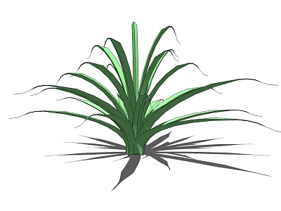 Green Leafy Plant with Long Curved Leaves and Radiant Green Foliage for Indoor Decor 3d model