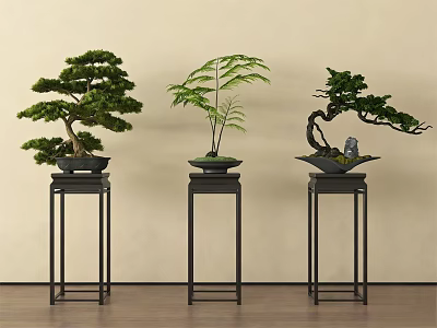 Bonsai Plants Displayed On Black Metal Stands Against Light Wall And Wooden Floor 3d model