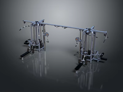 Dual Station Multi Functional Gym Equipment With Metal Frame Cable System And Weight Plates 3d model